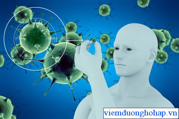 Nguyên nhân chính gây viêm họng hạt là virus, vi khuẩn