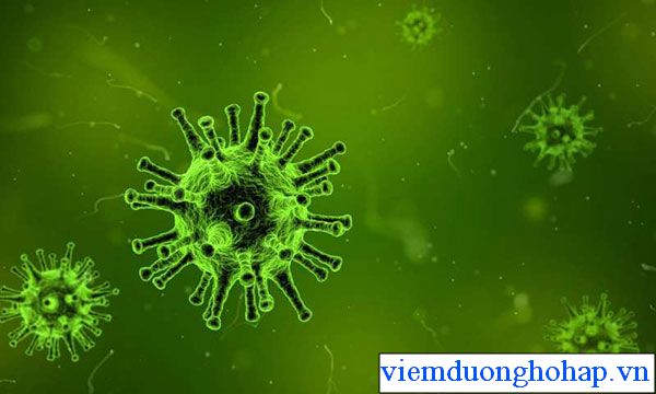 Virus là một trong những nguyên nhân chính gây viêm họng