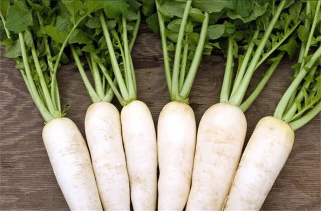 Súp ngao và củ cải trắng 1