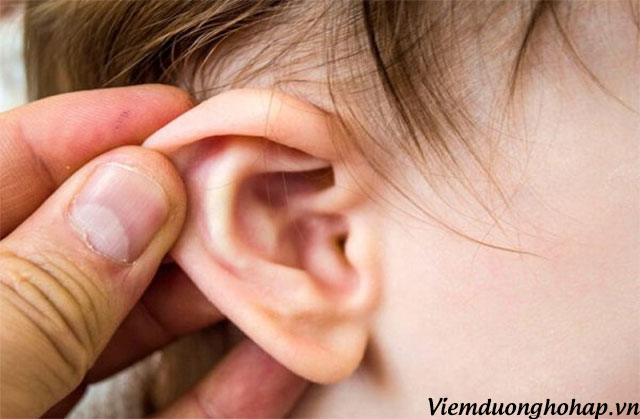 Tại sao viêm amidan gây đau tai? Viêm amidan gây đau tai có nguy hiểm? 1