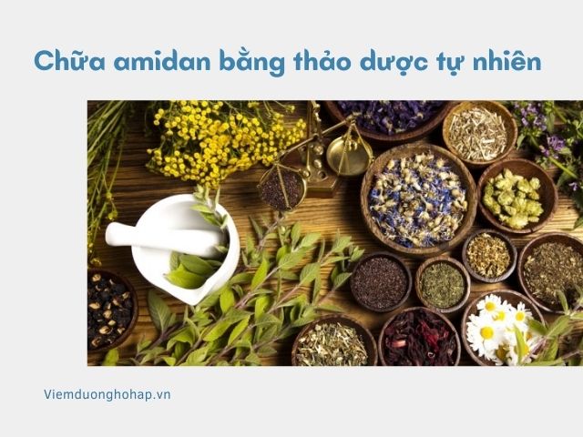 Chữa amidan bằng thảo dược tự nhiên an toàn hiệu quả!