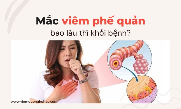 Mắc viêm phế quản bao lâu thì khỏi bệnh?