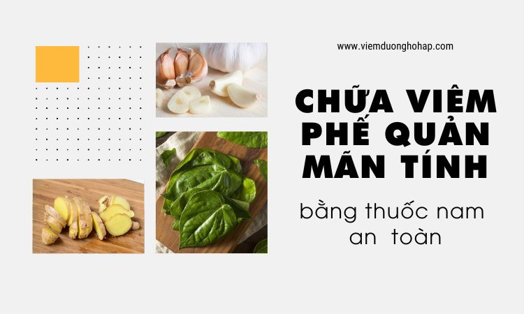 Cách chữa viêm phế quản mãn tính bằng thuốc nam an toàn