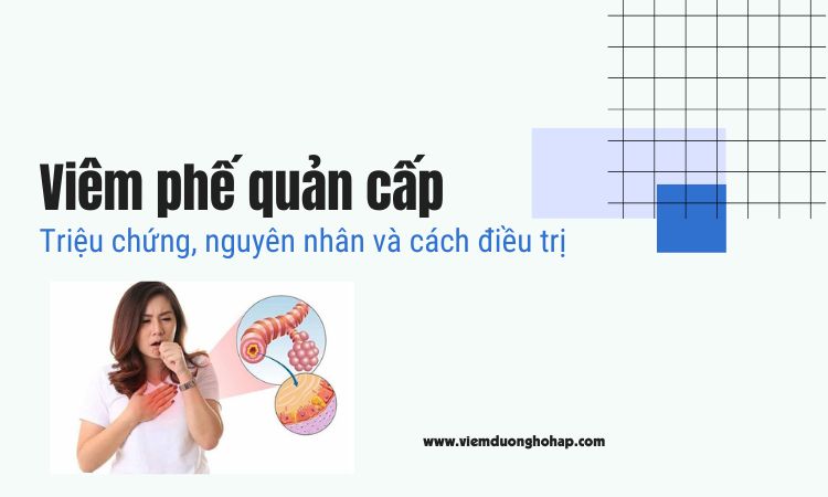 Bệnh viêm phế quản cấp là gì? Triệu chứng, nguyên nhân và cách điều trị