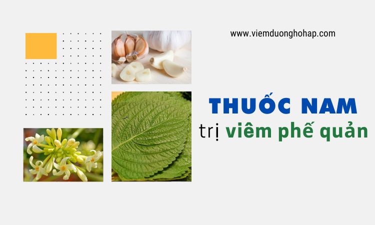 Top 7 bài thuốc nam trị viêm phế quản đơn giản, hiệu quả